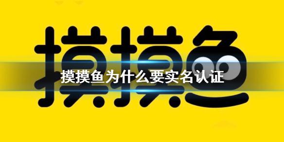 摸摸鱼为什么要实名认证 摸摸鱼实名认证介绍