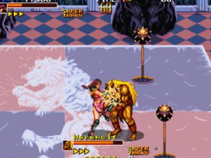 街机异种角斗士无敌版