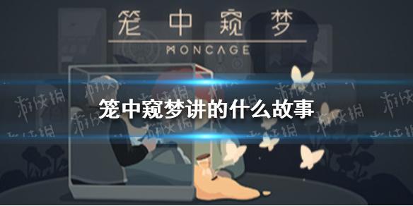 笼中窥梦讲的什么故事 笼中窥梦剧情解析