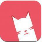 猫咪短视频免费版最新版