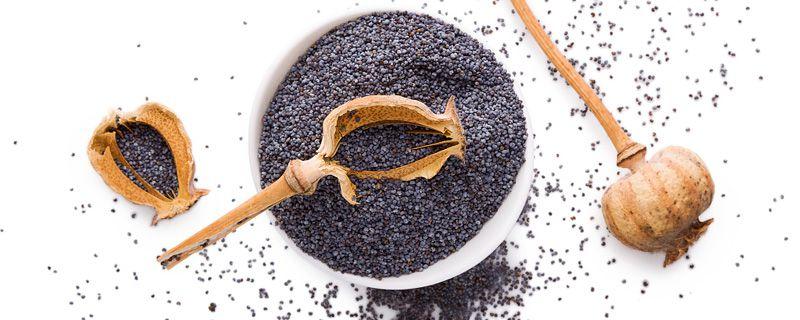 奇亚籽早上吃还是晚上