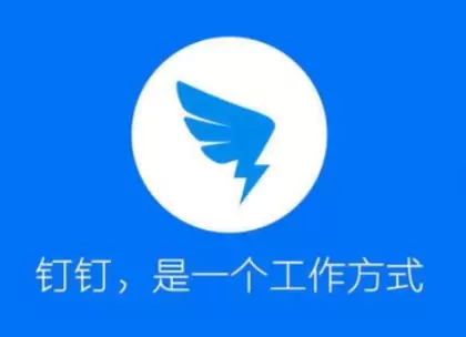 钉钉视频会议怎么横屏 钉钉视频会议怎么看回放