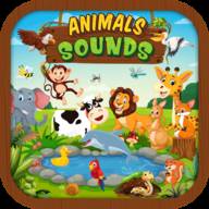 动物声音Animal Sound