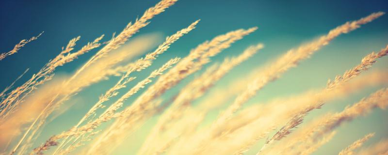 适合和女儿拍抖音的句子有哪些