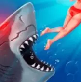 饥饿的鲨鱼进化