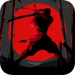 暗影格斗2中文版