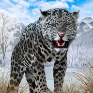 野生雪豹模拟器（Snow Leopard）
