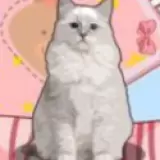 解压收纳神器手机版