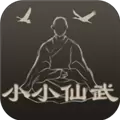 小小仙武