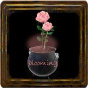 逃脱游戏花容失色手机版