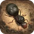 超能蚁团游戏