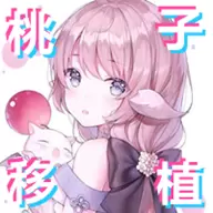 雷电将军的惩罚安装