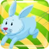 兔子狂奔(bunnyrun)
