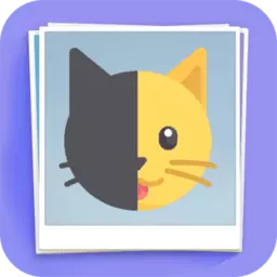 猜猜这是啥手游