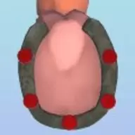 循环经理赛马游戏