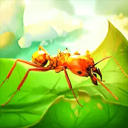 疯狂的蚂蚁安装