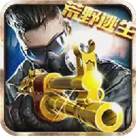 火线冲突9999999金币钻石版