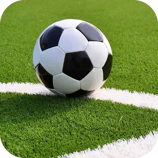 我是足球先生游戏