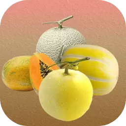 消了个瓜完整版