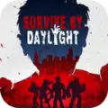 白昼生存游戏