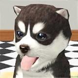 狗子重生模拟器