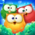 猫头鹰消消乐红包版手游