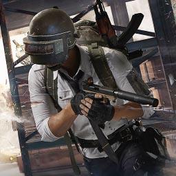 吃鸡活下去游戏