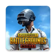 PUBG MOBILE(国际服)