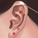 老六清洁大师安装