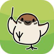 鸟之音安卓版游戏