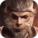 圣光与荣耀正版