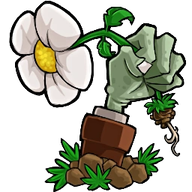 植物大战僵尸转基因版 官方版