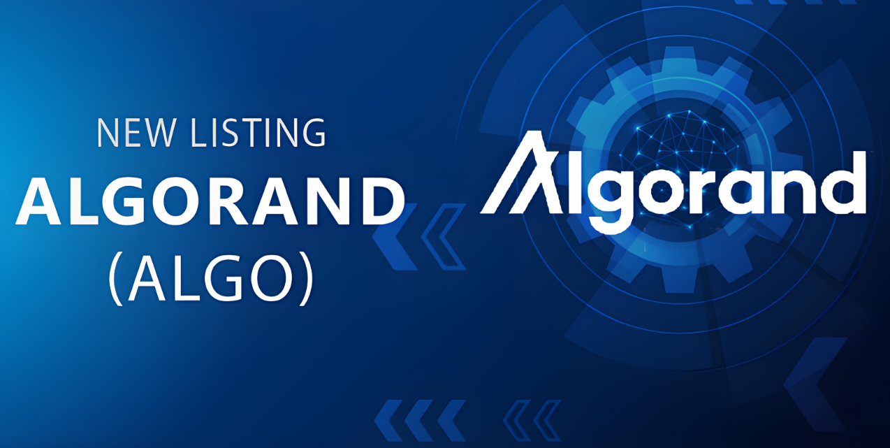 algo币跌因及未来救赎之道