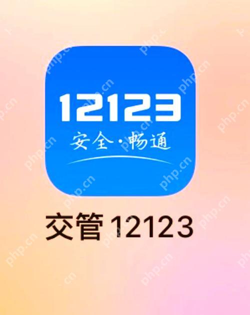 交管12123怎么查违章记录 快速查询违章信息技巧教学