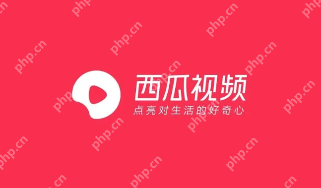 西瓜视频免费网址 西瓜视频网站免费播放2025