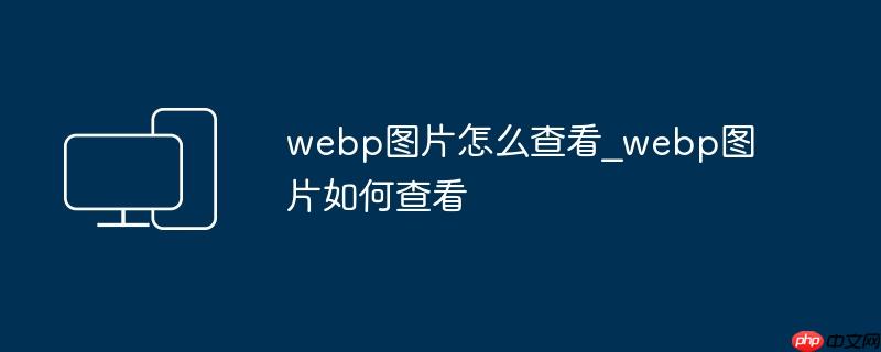 webp图片怎么查看_webp图片如何查看
