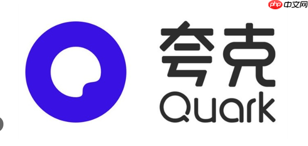 夸克APP手机端的视频播放功能,支持哪些操作和格式？