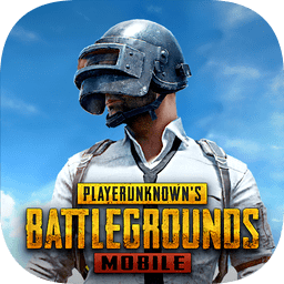 PUBG M(国际服地铁求生)