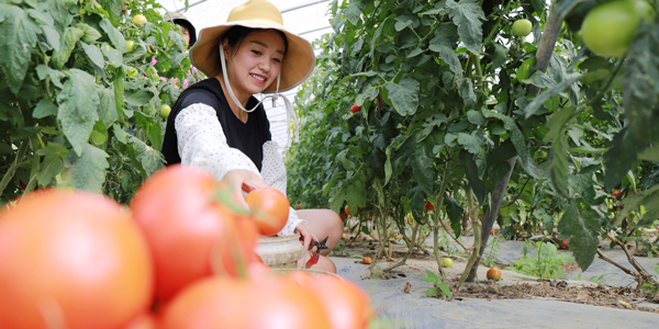 有哪些真实的助农平台app?助农软件推荐