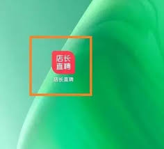 如何通过店长直聘找工作