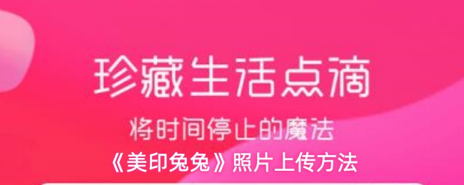 美印兔兔怎么上传照片