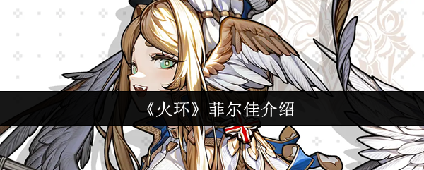 火环菲尔佳怎么样