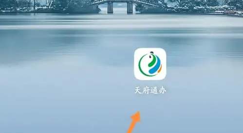 天府通办app无犯罪记录证明怎么操作
