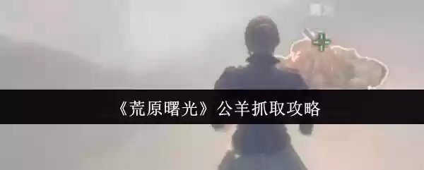 荒原曙光公羊怎么抓