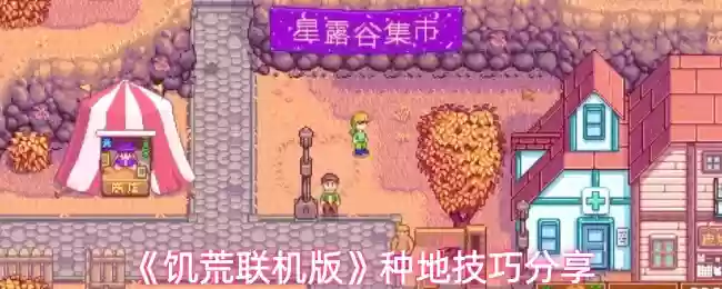 饥荒联机版怎么种地