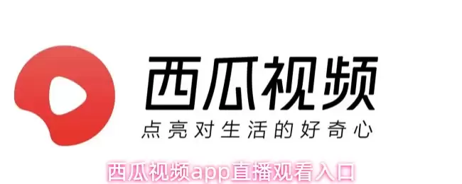 西瓜视频app怎么观看直播