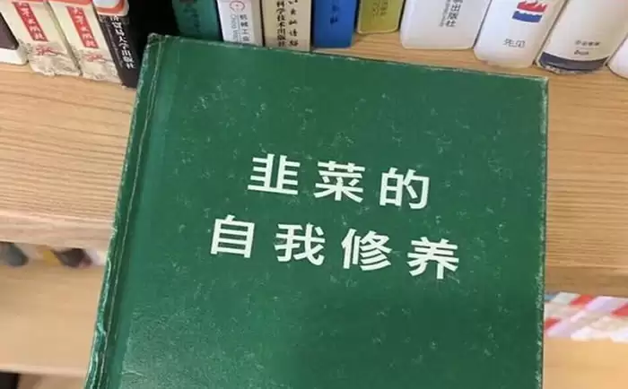 币圈新手入门：玩赚攻略与避坑指南