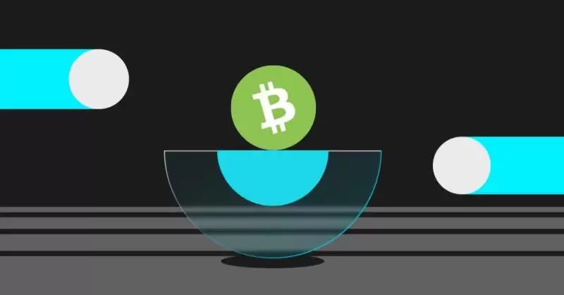 比特币现金BCH：支付为王还是明日黄花？