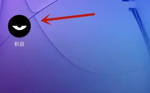 积目ID查看位置指南：快速找到个人专属ID