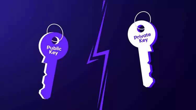 比特币公私钥：新手指南，安全管理数字资产